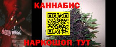ALPHA PVP Ярославль